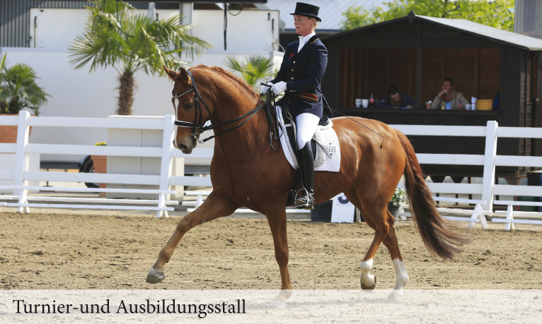 Reitsportzentrum Massener Heide Reitunterricht Unna Turnierpferde Reitschulbetrieb Reitverein Reit Il Cavallo Equitan Landhaus Reitanlage 